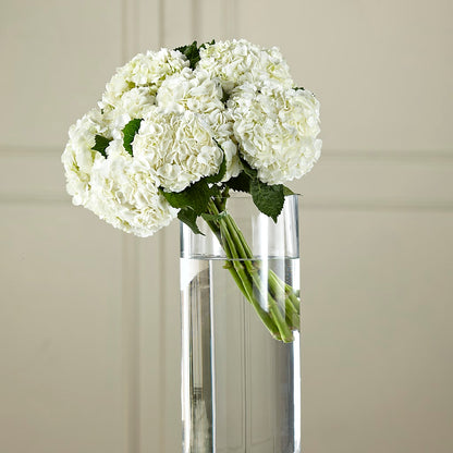 White Hydrangea Hand-Tied Bouquet –  True Blooms, Winters CA