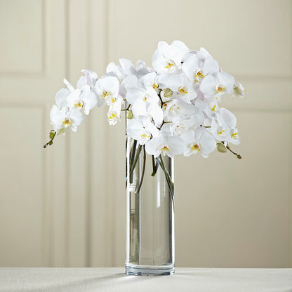 White Phalaenopsis Bouquet –  True Blooms, Winters CA