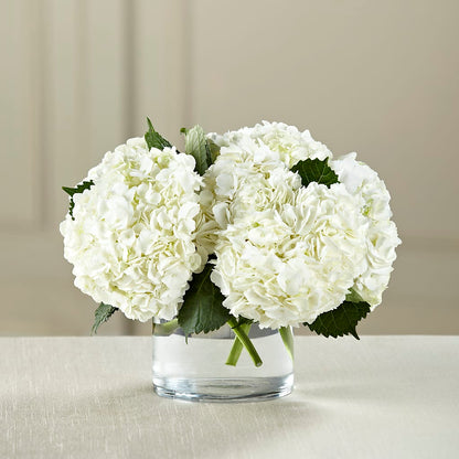 White Hydrangea Bouquet –  True Blooms, Winters CA